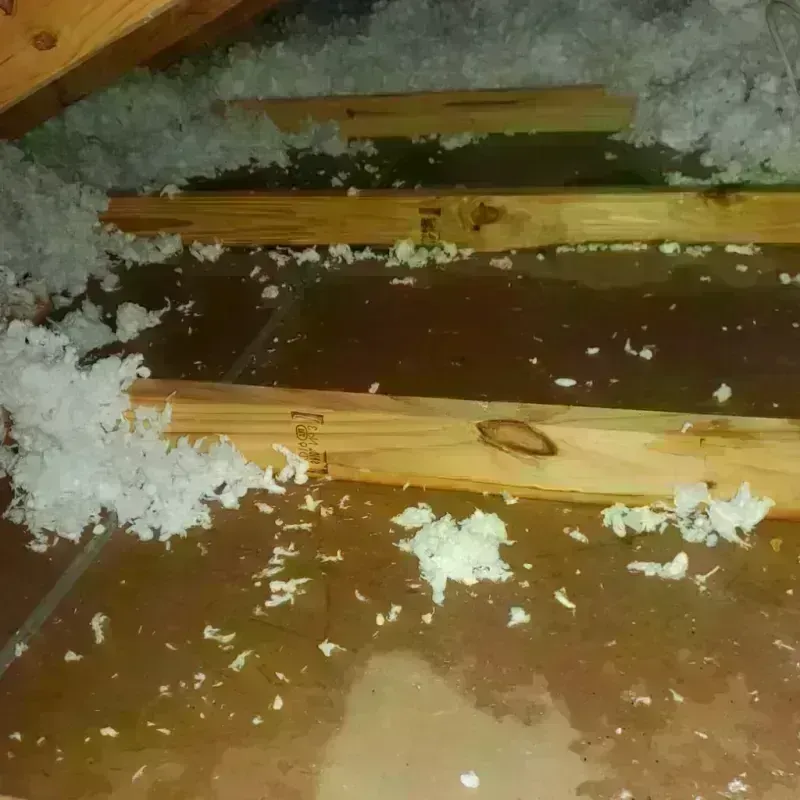 Attic Water Damage in McCulloch County, TX